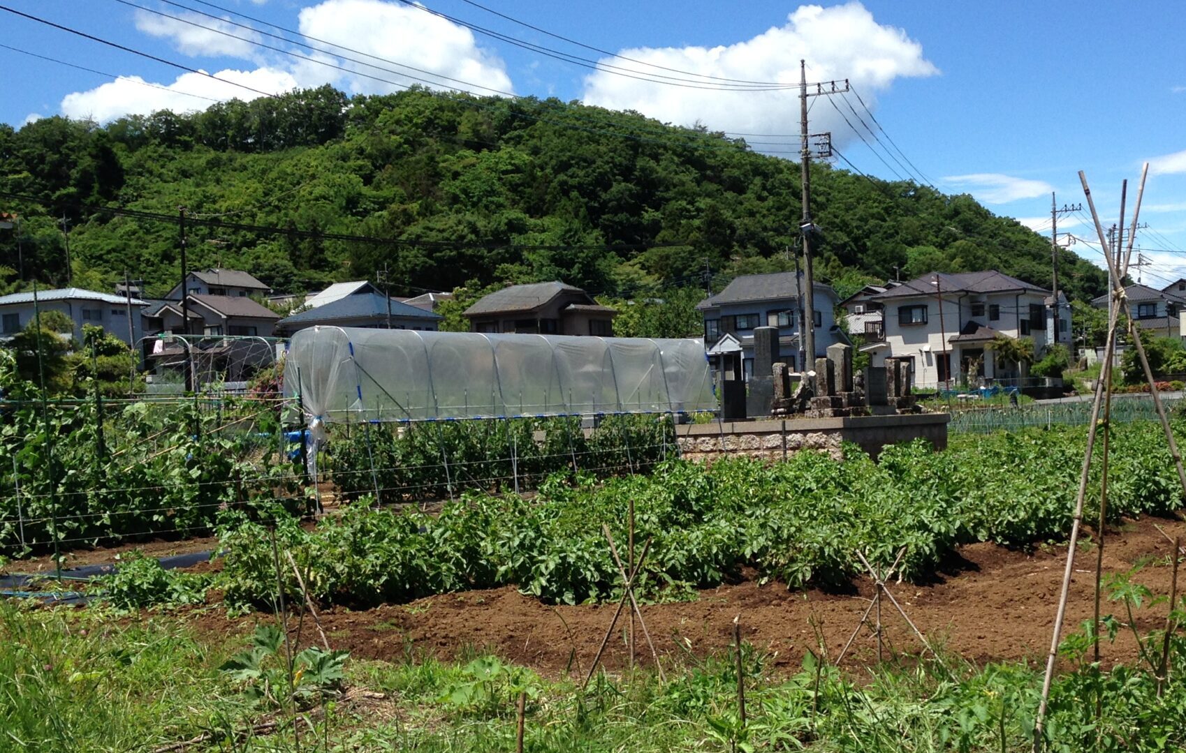 週末のおしごと